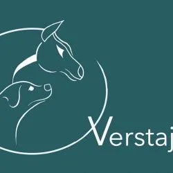Logo Verstajem