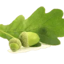 Logo van Snijder Vloeren B.V.