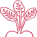 Logo Beetz BV