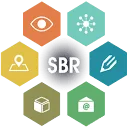 Logo Accept SBR Online