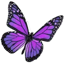 Logo Studio Papilio