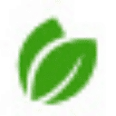 Logo Synleaf