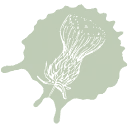 Logo Carduus Tuinen