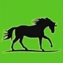 Logo FIT PAARD