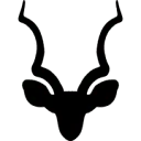Logo Kudu_store
