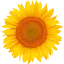 Logo Installatiebedrijf Tijhaar Vilsteren B.V.