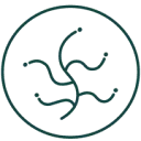 Logo HoutMoed