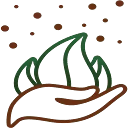 Logo The Seeds