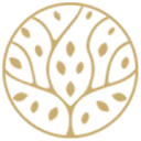 Logo Green Design Studio Eden