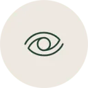 Logo PulpVision B.V.
