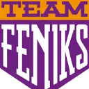 Logo Stichting Feniks Ontwikkelingsbegeleiding