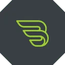 Logo Baer Panels