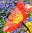 Logo HTTP://innervitaal.nl