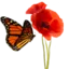 Logo Praktijk voor Persoonlijke Groei