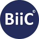 Logo Business Value MRI