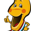 Logo Stichting Klompenfeest Twello