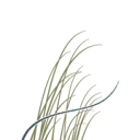 Logo Duinweide Investeringen NV