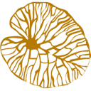 Logo HeelHuus Gezondheidscentrum