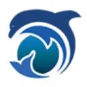 Logo DolphinSolutions BV