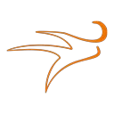 Logo RMO Coaching AND Training