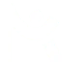Logo Nik van Hoogstraten