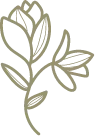 Logo AromaWise