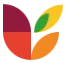 Logo Levius
