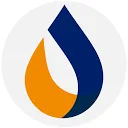 Logo DCS Solutions