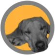 Logo ZitzakkenStore.nl