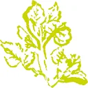 Logo Trompert Tuinen