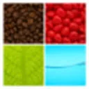 Logo Meesterschap-koffie