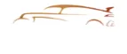 Logo The Car Gallery