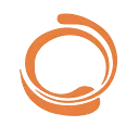 Logo Volunteer Activists