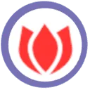 Logo Dutch Parkingservice