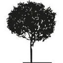 Logo Advocatenkantoor Exaten