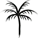 Logo Droomvol