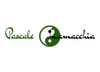 Logo Pascale's Healing Hands