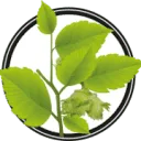 Logo Greengo Products