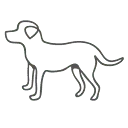 Logo Coachpraktijk Bo Vertelt
