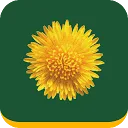 Logo Mijn Buitenplaats Makelaardij