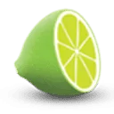 Logo Lime Websolutions