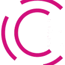 Logo Check it