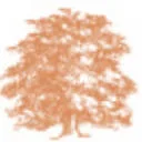 Logo Erfgoed Rikkerda