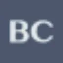 Logo Board Company Benelux