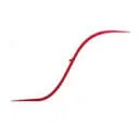 Logo TransFortis