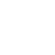 Logo Stichting Raqs