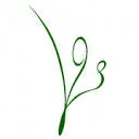 Logo Sociocratische Leeromgeving LOS Deurne