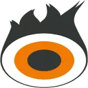 Logo Netfire