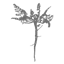 Logo Wilde Wortels