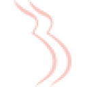 Logo BellyBuddy